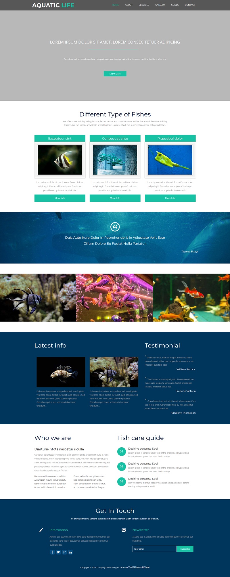 蓝绿色响应式精美金鱼养殖加盟网站模板