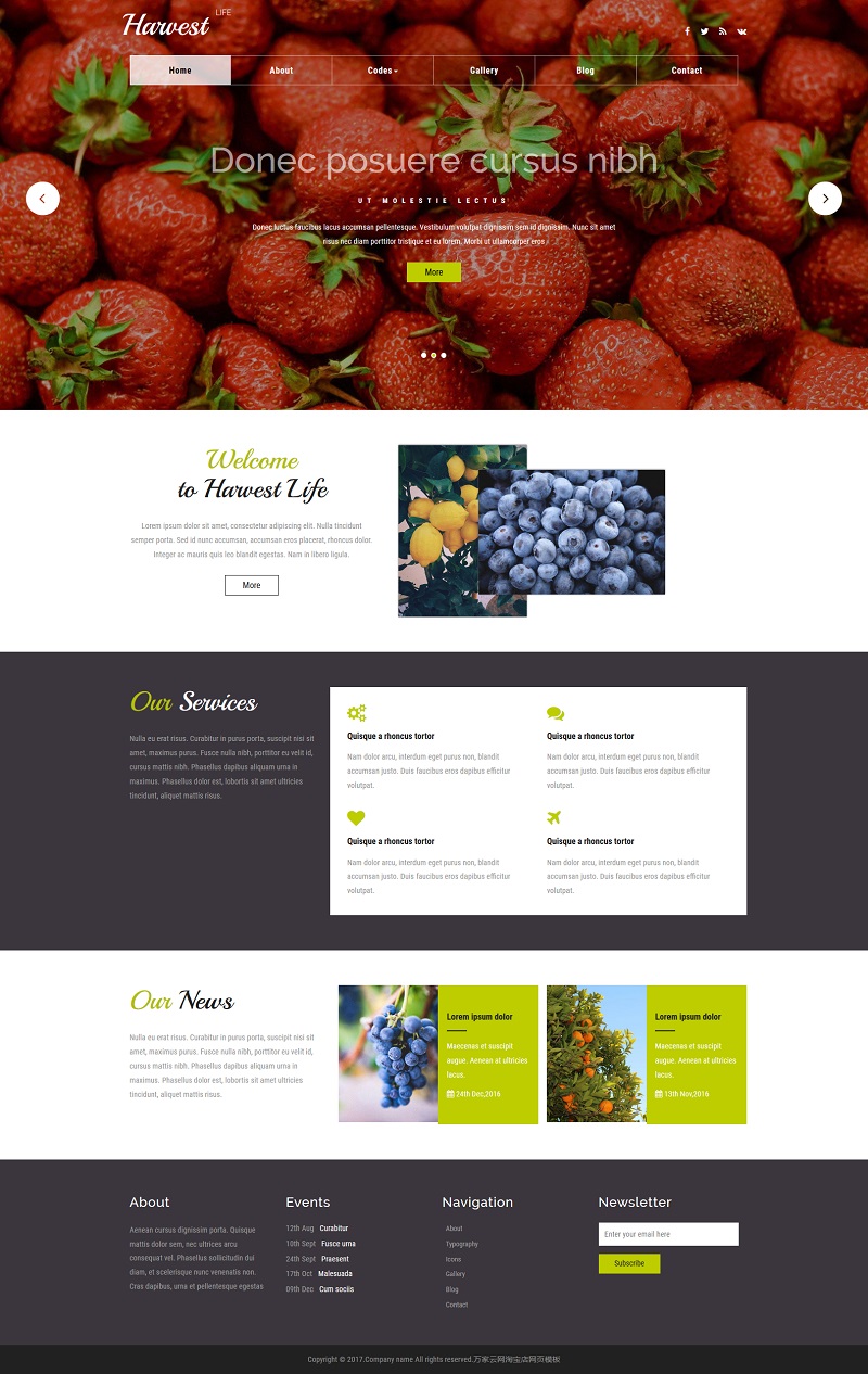 绿色卖蔬菜水果的网站模板