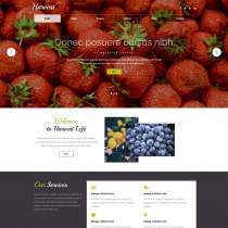 绿色卖蔬菜水果的网站模板