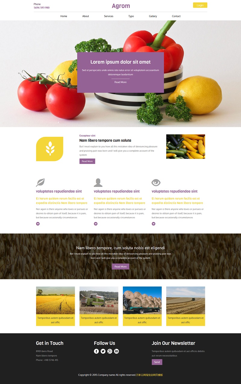 紫色大气自适应精美有机蔬菜种植网站模板