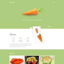 淡绿色蔬菜菜谱制作教程网页模板