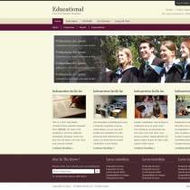 淡雅棕色的教育门户网站模板