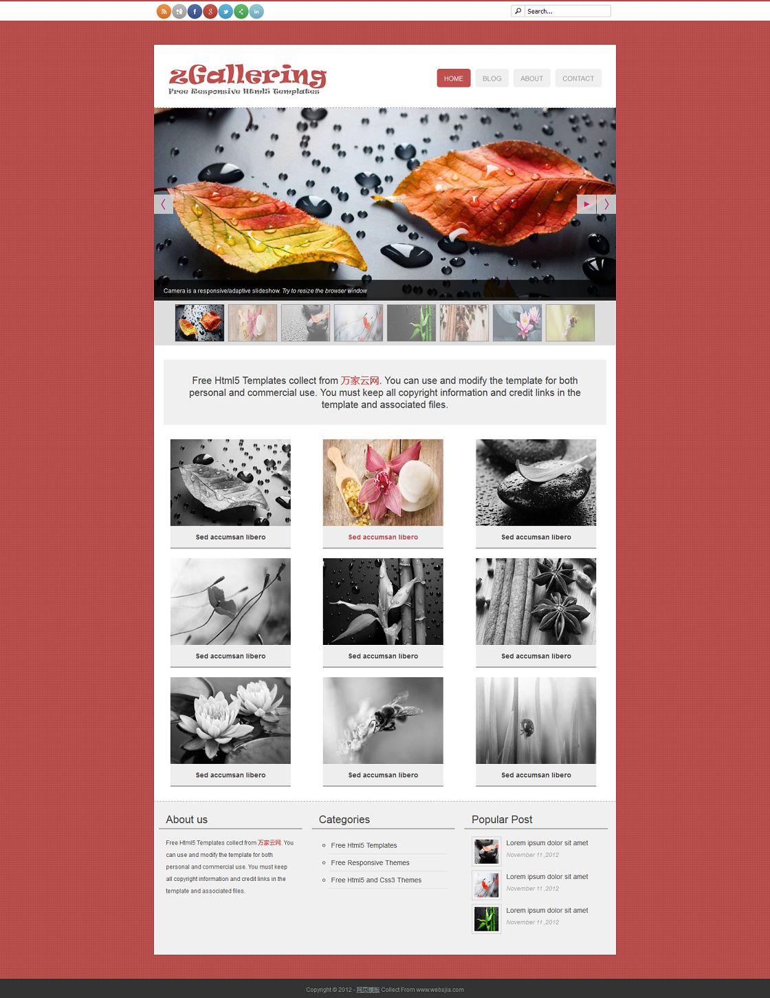 粉色纹理背景画廊html5网站模板