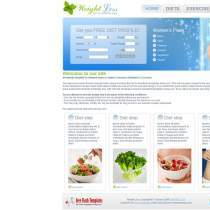 简洁清晰的减肥食谱网站模板下载