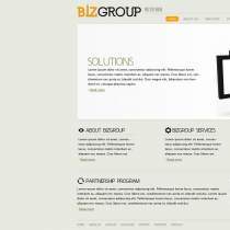 简洁BIZ商务咨询公司网页模板