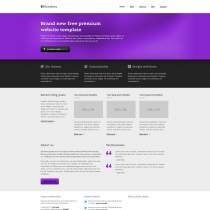精美漂亮的软件企业网站模板(紫色)