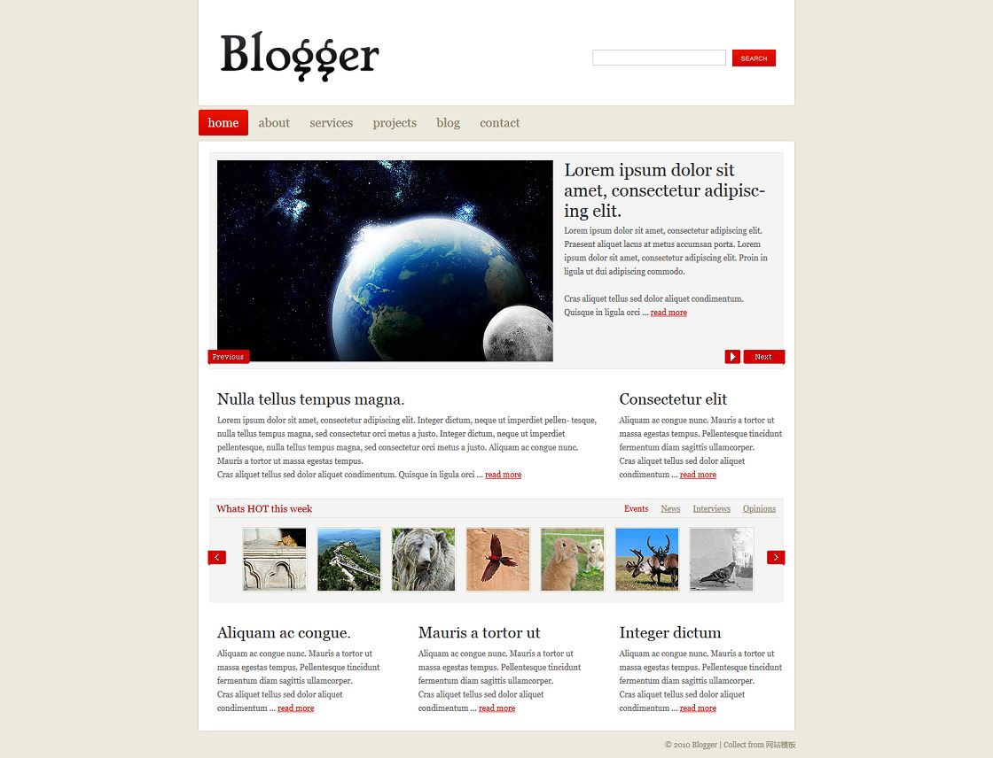 红色清爽简洁标准的个人博客网站模板