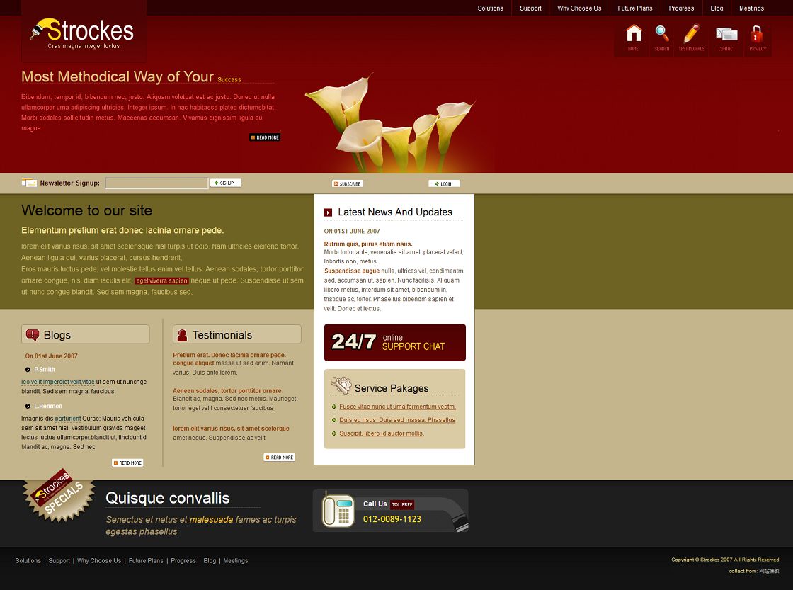 红色大气的花店网站CSS模板