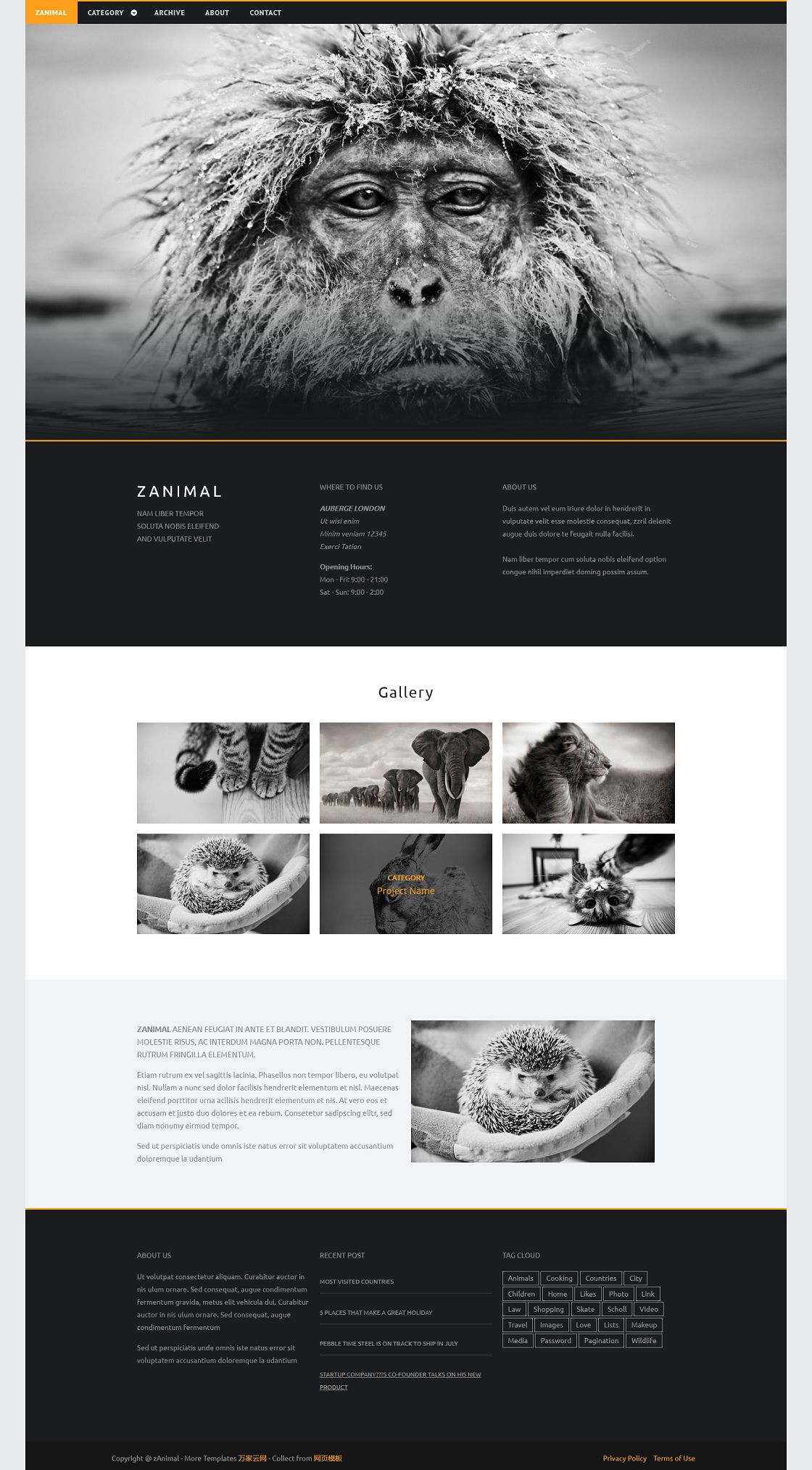 黑色宽屏Animal动物摄影网页模板