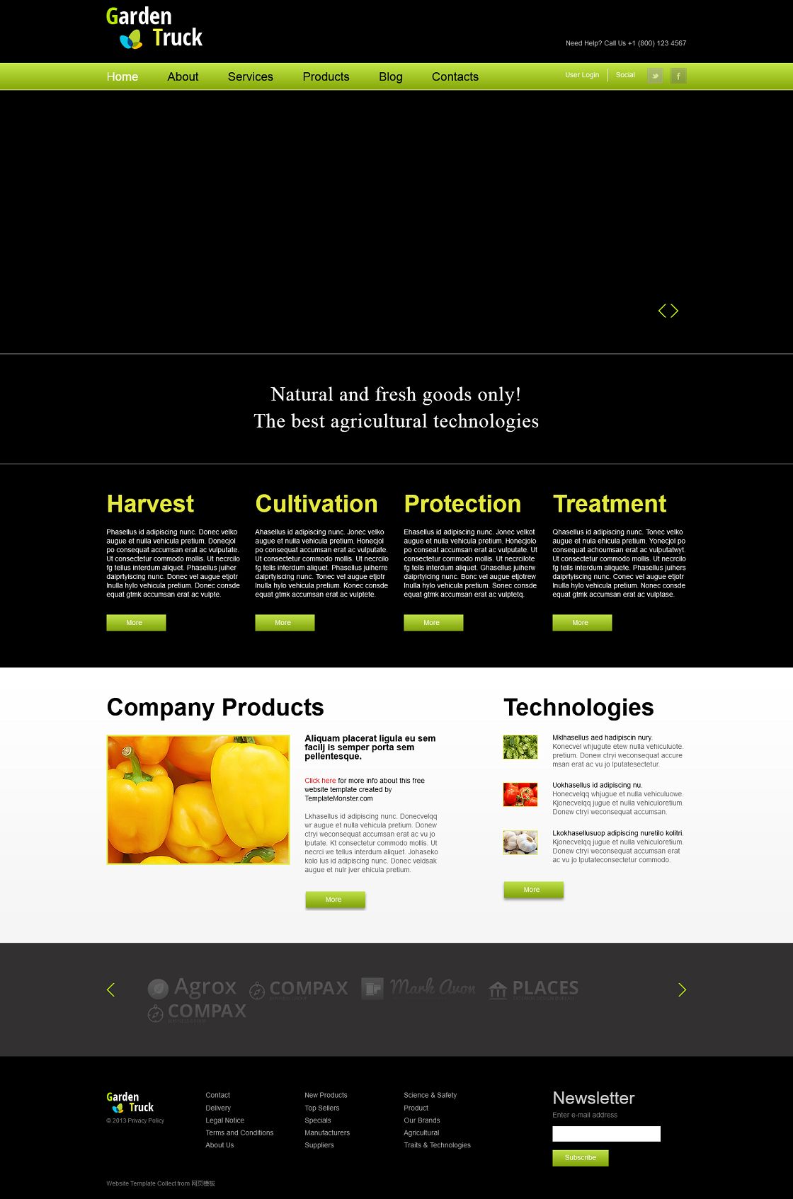 绿色全屏大图蔬菜生鲜企业网店模板