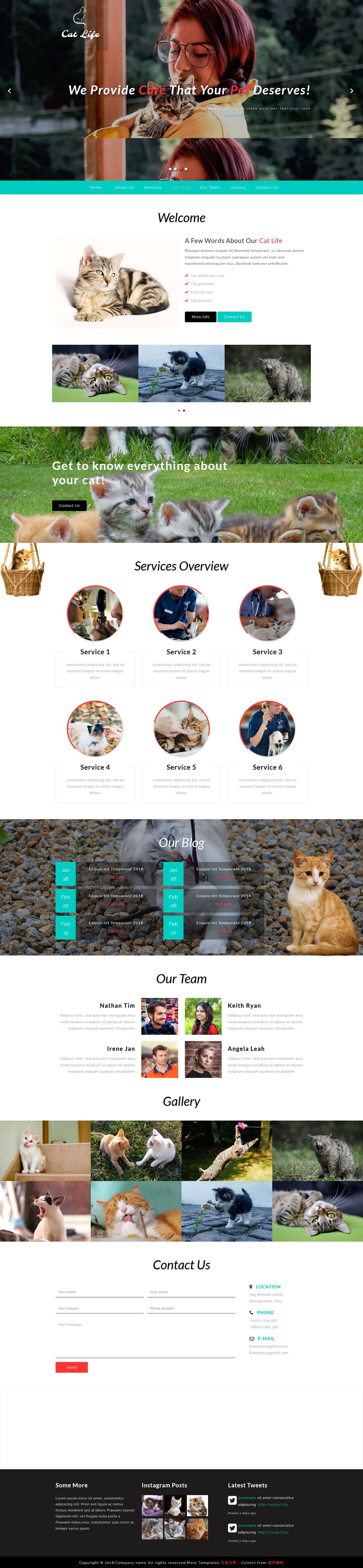 猫咪萌宠物乐园专业网站模板