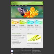 模糊背景绿色精致的网页模板