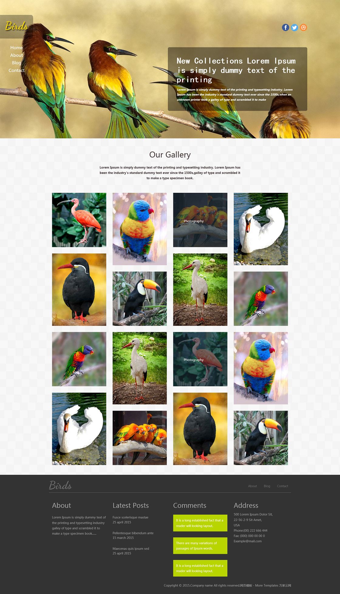 鸟类动物图片展示企业html5模板