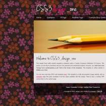 漂亮的花色背景二栏css3博客模板