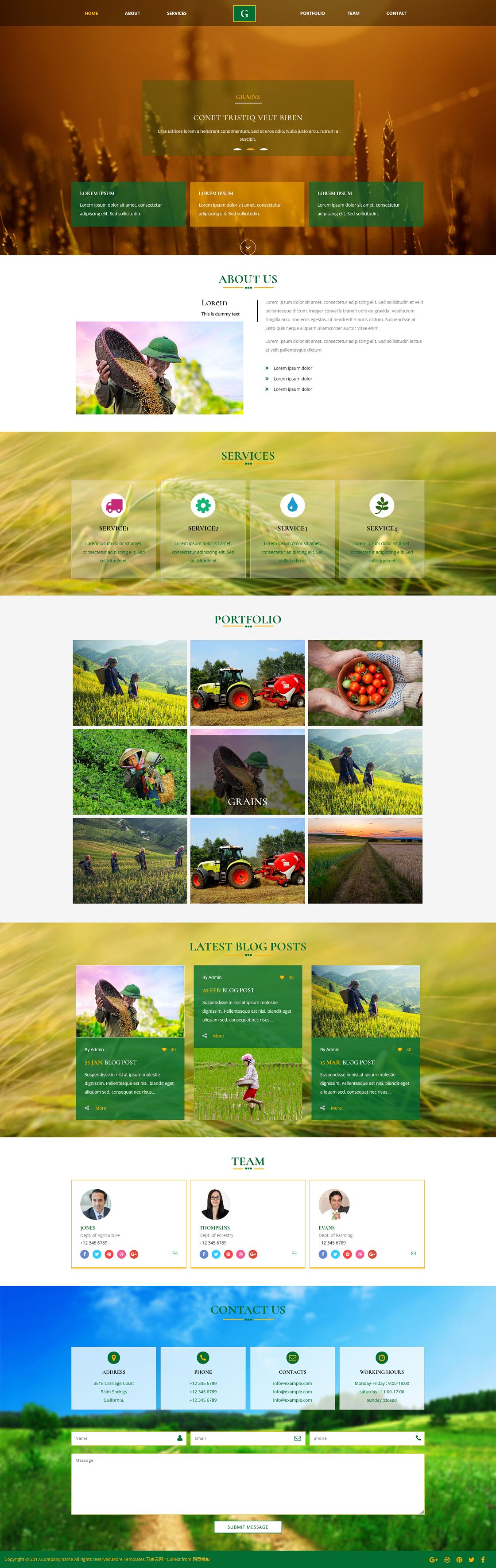 乡村旅游农家乐开发企业网站模板